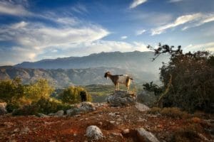 Kreta erleben