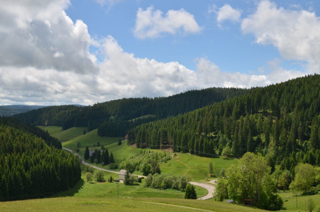 Schwarzwald, lizensiert bei Adobe Stock