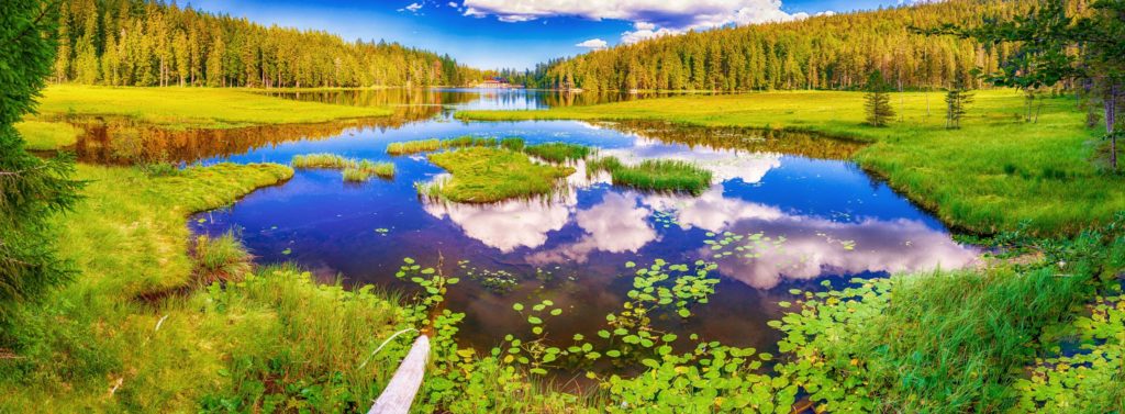 Arbersee, lizensiert bei Adobe Stock