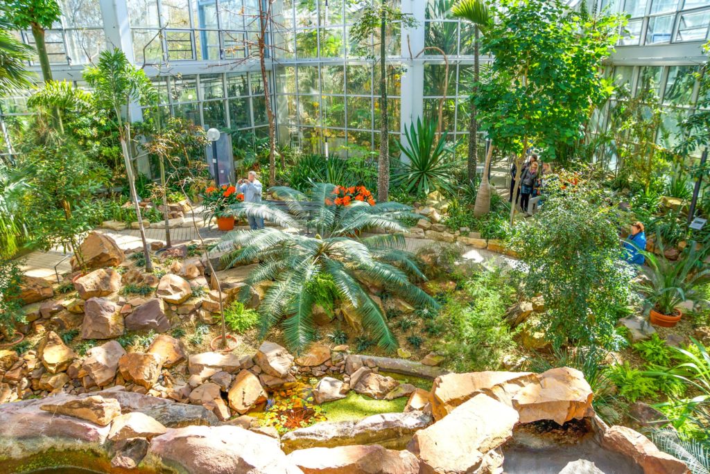 Palmengarten, lizensiert bei Adobe Stock