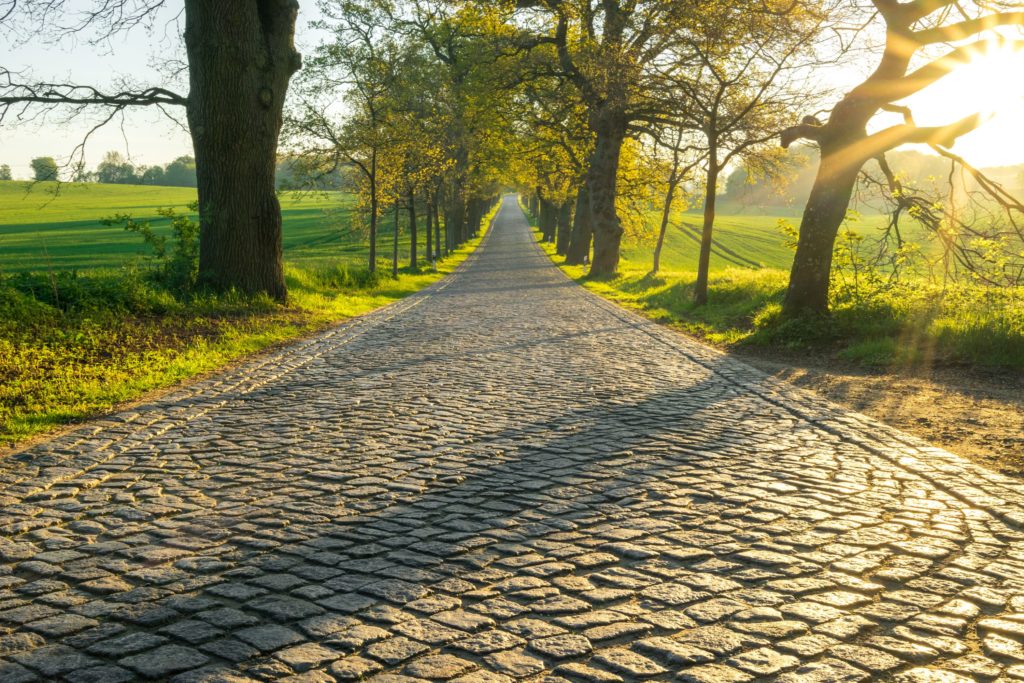 Rügen Allee, lizensiert bei Adobe Stock
