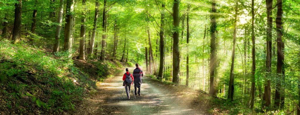 lizensiert bei Adobe Stock
