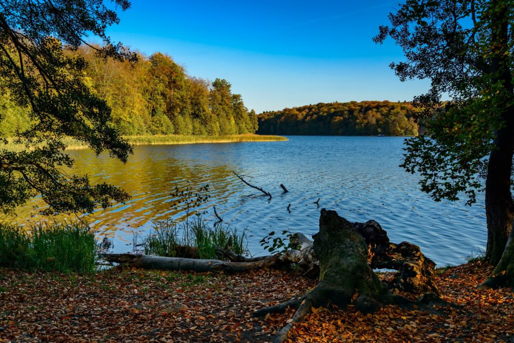 Barnimer Land, Liepnitzsee, lizensiert bei Adobe Stock