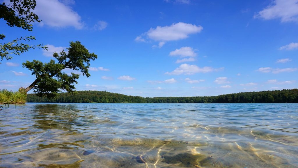 Stechlinsee, lizensiert bei Adobe Stock