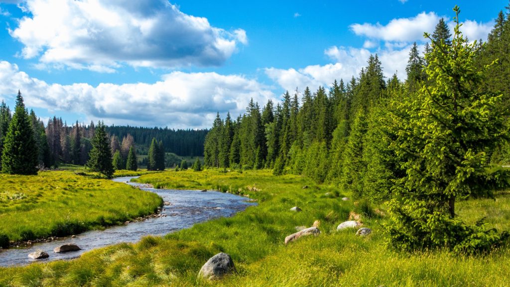 Bayerischer Wald, lizensiert bei Adobe Stock