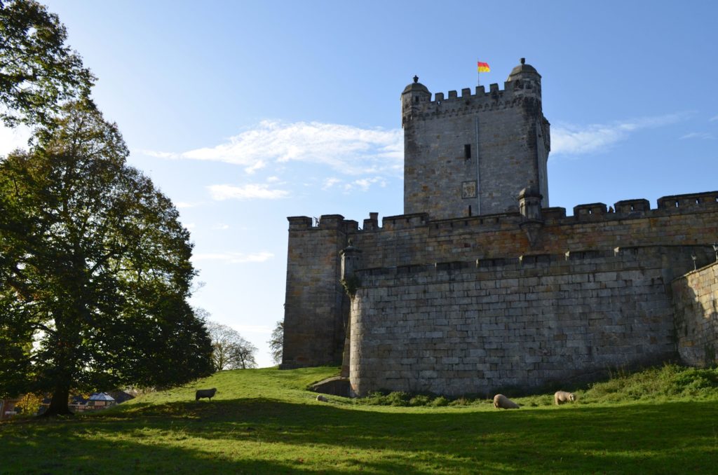 Burg Bentheim, lizenisert bei Adobe Stock