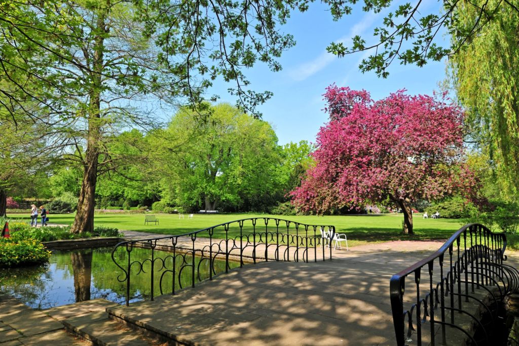 Hannover Stadtpark, lizensiert bei Adobe Stock