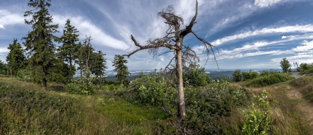 Grosser Feldberg, lizensiert bei Adobe Stock
