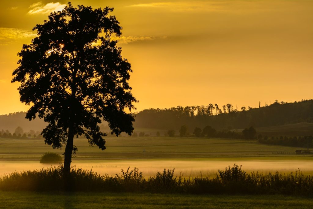 Wetterau, lizensiert bei Adobe Stock