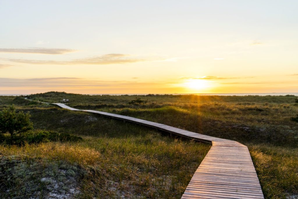 Darss wandern, lizensiert bei Adobe Stock