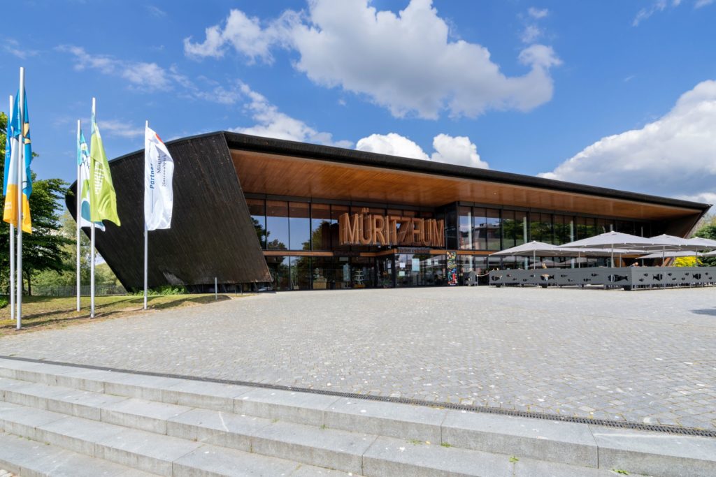 Müritzeum, lizensiert bei Adobe Stock