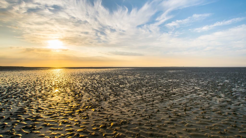 Wattenmeer, lizensiert bei Adobe Stock