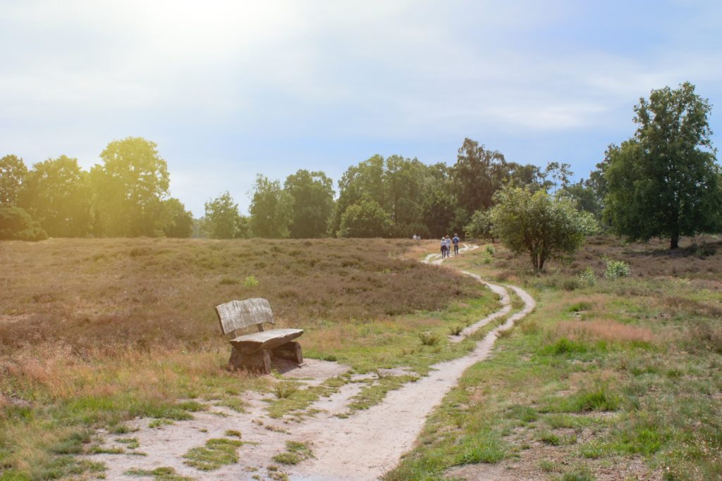 Wildeshauser Geest, Glienicker Brücke, lizensiert bei Adobe Stock