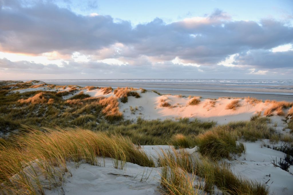 Baltrum Düne, lizensiert bei Adobe Stock