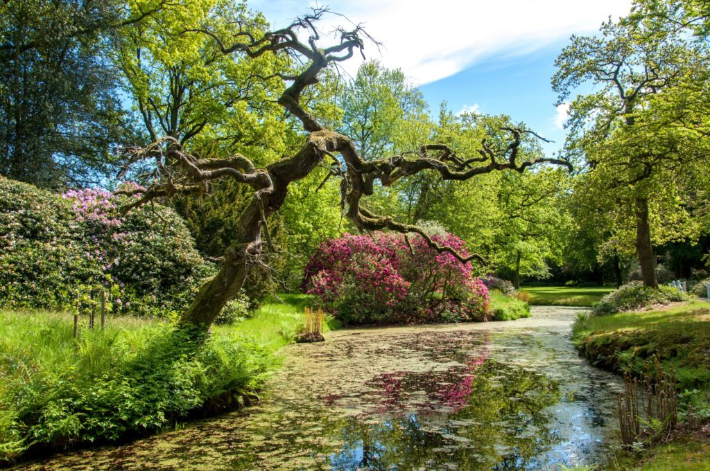 Rhododendrenpark Lütetsburg, lizensiert bei Adobe Stock