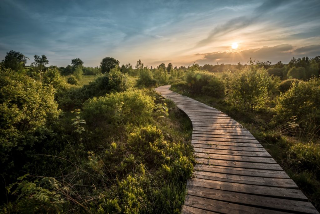 Hohe Venn, lizensiert bei Adobe Stock