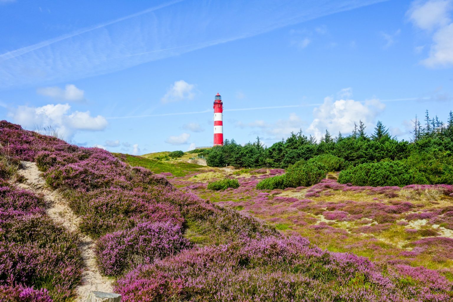 Amrum • GutBürger.Reisen