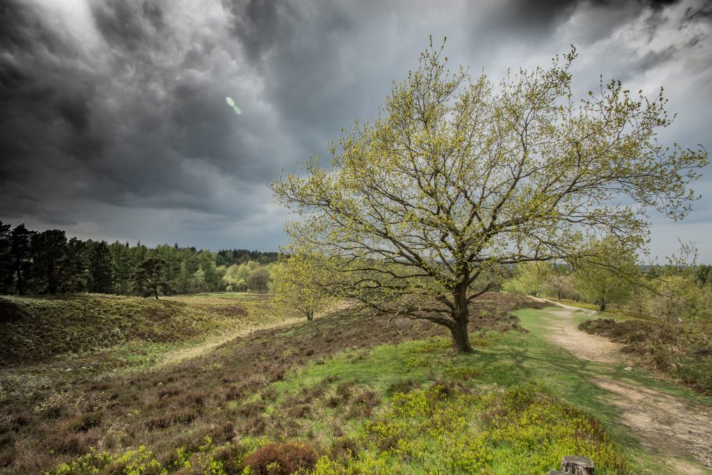 Naturpark, lizensiert bei Adobe Stock