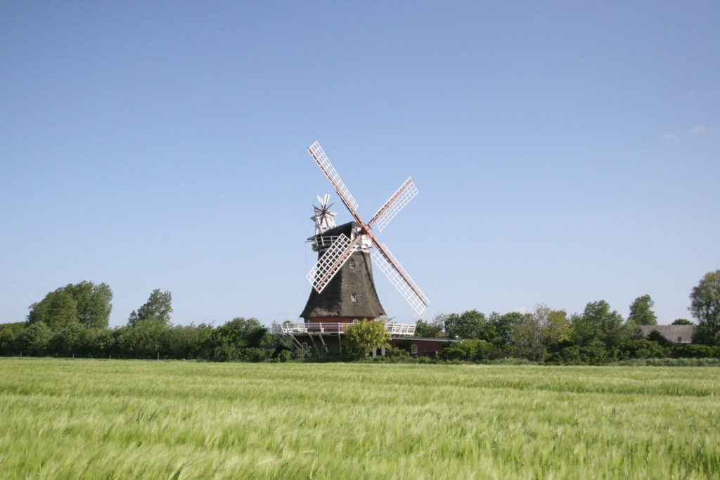 Windmühle Föhr, lizensiert bei Adobe Stock
