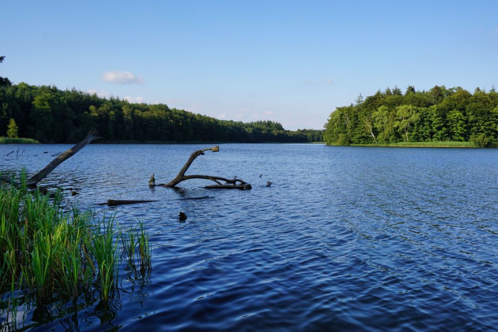 Schaalsee, lizensiert bei Adobe Stock