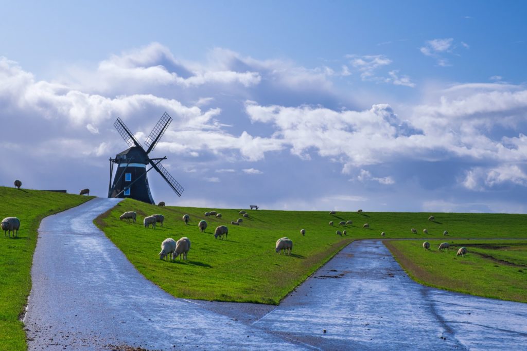Windmühle Pellworm, lizensiert bei Adobe Stock